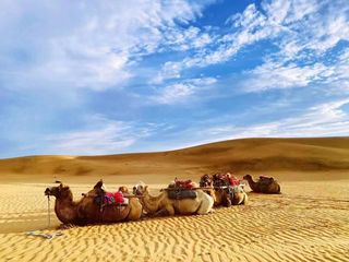 🌍✨秘境腾格里！大漠鸣沙✨🌟