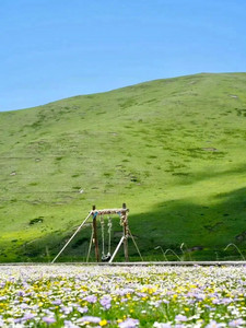 石渠游记图文-暑假毕业旅行去四川川西草原露营看花海自驾游