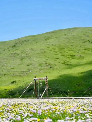 暑假毕业旅行去四川川西草原露营看花海自驾游