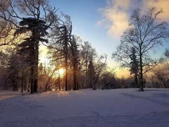 哈尔滨游记图片] 【东北游秘籍】哈尔滨、雪谷、雪乡穿越之旅 “贼”详细