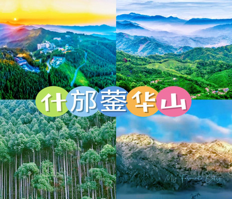 山青水秀映蓥华,如诗如画入眼帘