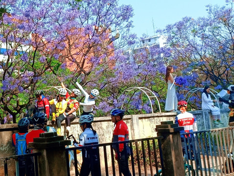 骑行守望山(蓝花楹节):一场与自然和历史的诗意对话