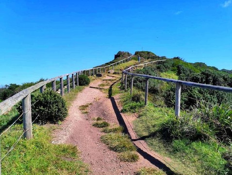 悉尼长礁点海滩,传说中看现实版宫崎骏动画的地方