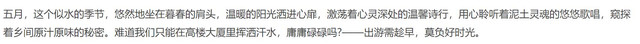 说走就走，畅行无忧：EVCARD租车为自驾旅行添彩!