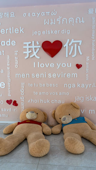 中国最为浪漫婚姻登记处，红色城堡远观像双人床，被心形花海簇拥