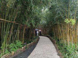 江苏游体验三：个园