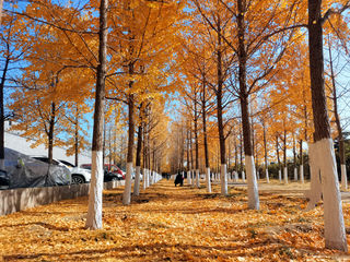 北京旅游:走进宛平城 追寻难忘历史(图)