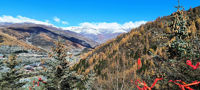 山西自由行（上篇）太原、五台山、悬空寺、应县木塔