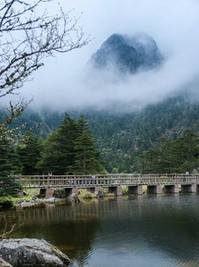 普格游记图文-🌲闯入螺髻山的绿野仙踪！解锁今夏最治愈的清凉密码