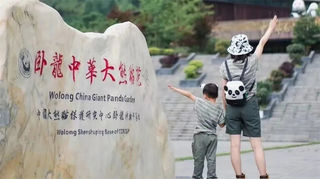 国庆自驾川西｜探秘卧龙熊猫“老家”，超全交通攻略请收好！