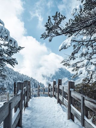 冬季成都周边即可以玩雪又可以泡温泉的好去处