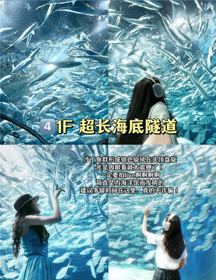 外滩雅致酒店上海海洋馆坠强拍照攻略🐋🫧