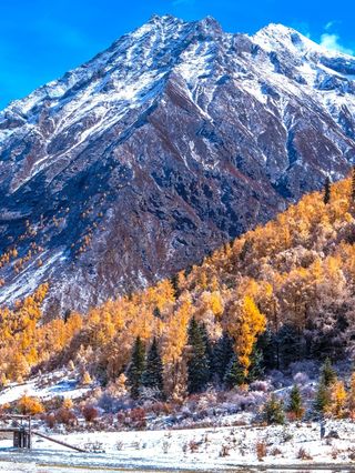 川西理小路的红叶彩林值得一去？