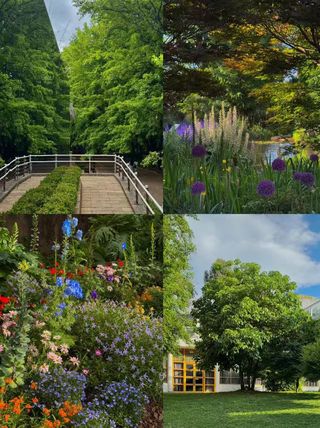 周末躺平式遛弯?昆明植物园太懂普通人了🌿