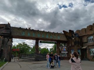 海拉尔：七天看了六天大草原，最后一天看一片古老的森林