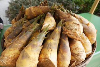 好吃好看更好玩！火热夏季，福建古田这里真火爆