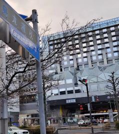 东京站/日本桥游记图文-日本交通体验