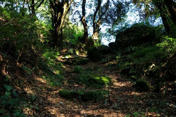 寻踪8处“徐霞客游线标志地”看腾冲文旅融合发展之路
