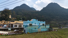 册亨游记图片] 墙做画布绘村景，在黔西南，有一个可用劳动兑换积分的村子