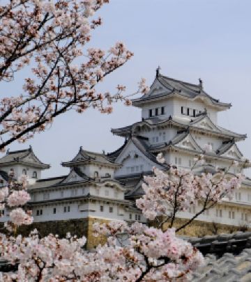 白滨町游记图文-#2024.4清明# 关西和歌山名古屋高山白川乡