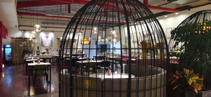 班夫游记图文-班夫国家公园、卡尔加里夏日游