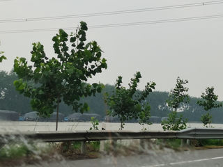 夏日里的高邮之行