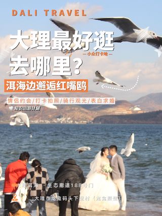 去有风的地方丨带上TA一起邂逅大理的风花雪月吧!