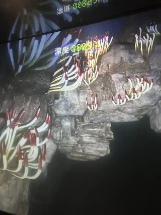 带娃带老人国庆厦门4天3晚半自由行