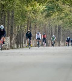 葡萄酒之路上的瓦亨海姆游记图文-海湾打“铁”，勇毅前行，上海海湾铁人三项赛圆满收官 