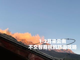 1-2月来云南,不交智商税的旅游攻略