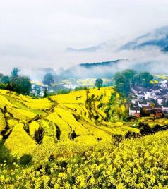 皖南地区游记图文-✨【自驾党必看!解锁国内99%的神仙路线】✨