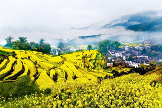 ✨【自驾党必看!解锁国内99%的神仙路线】✨