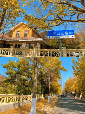 流连忘返的青岛之旅 推荐