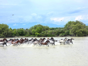 夏塔旅游区游记图文-西行漫记—2025年5、6月大美新疆50天自驾游路书 （六）伊宁—昭苏—夏塔—特克斯