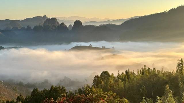 武夷山不一样的景点游记