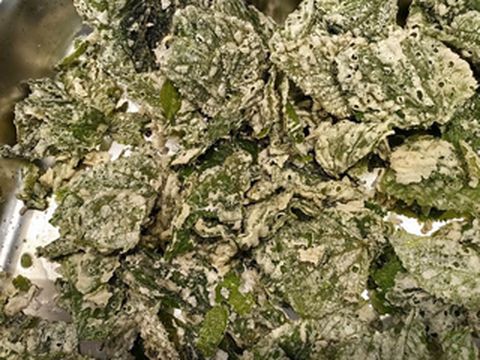 云游四海(1793)长江世纪游轮行之二十——川江家宴自助午餐