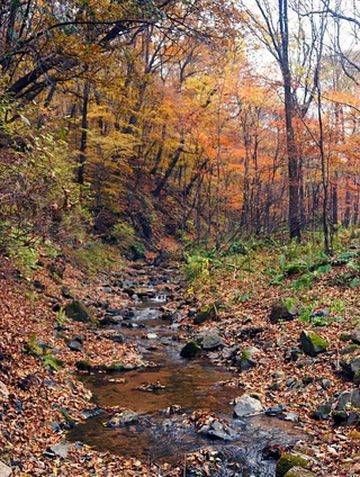 云游四海(1864)东北边境行之四十三:延吉至抚松的长白山秋色