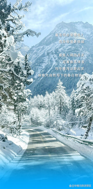 看雪何必等寒冬？四月银装更倾城