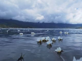 2023暑假云南自驾：虎跳峡徒步+泸沽湖+洱海+元谋物茂土林