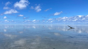 马六甲游记图文-马来西亚8天7晚自由行 吉隆坡/马六甲/斗湖转机/仙本那海鲜/跳岛游/潜水