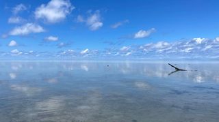 马来西亚8天7晚自由行 吉隆坡/马六甲/斗湖转机/仙本那海鲜/跳岛游/潜水