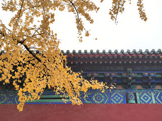 2024立冬时节北京懒人游