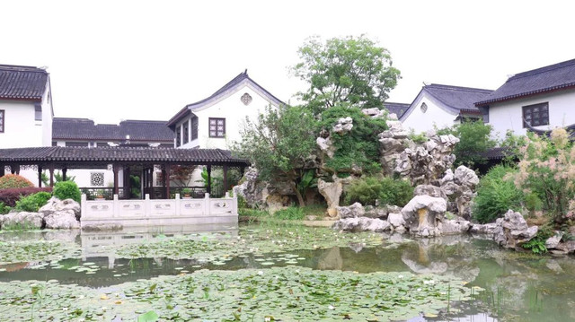 雅赏识礼培训丨跟着国家级金牌导游体验一场苏州园林与文化之旅
