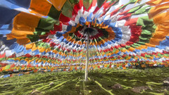 达古冰川风景名胜区游记图片] 看似躺平！我在达古冰川偷偷执行心灵复原计划