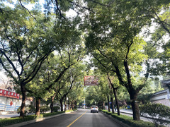 济南游记图片] 2023山东自驾游Day2（泰山、济南趵突泉、大明湖）