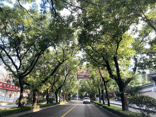 2023山东自驾游Day2（泰山、济南趵突泉、大明湖）