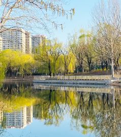 宝坻城区游记图文-文旅信息：2024“窝头河的春天”诗会在天津宝坻举行（图）