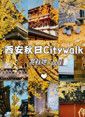 秋日Citywalk探索 | 西安八大绝美银杏赏秋秘境 🍂🍁