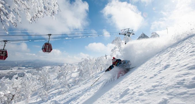 10月1日开始，留寿都滑雪学校开始接受在线预订滑雪教练