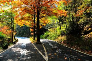 深秋之行，挺进大别山、穿越马丁公路燕子河大峡谷自驾游